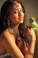 Shriya Latest Photoshoot
